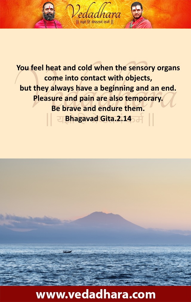 You feel heat and cold when the sensory organs come into contact with objects, but they always have a beginning and an end. Pleasure and pain are also temporary. Be brave and endure them. Bhagavad Gita.2.14